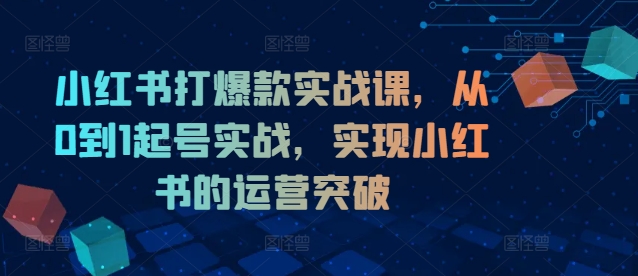 小红书打爆款实战课，从0到1起号实战，实现小红书的运营突破-AI网创