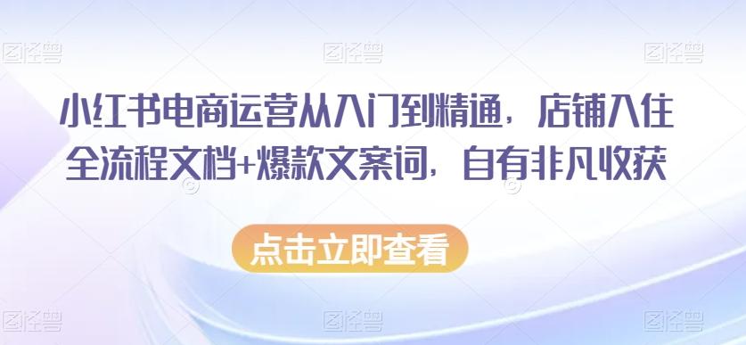 小红书电商运营从入门到精通，店铺入住全流程文档+爆款文案词，自有非凡收获-AI网创