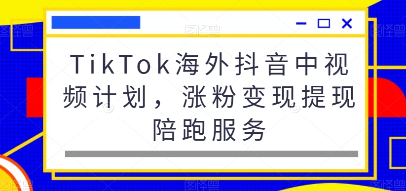 TikTok海外抖音中视频计划，涨粉变现提现陪跑服务-AI网创