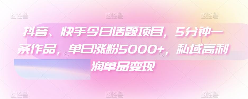抖音、快手今日话题项目，5分钟一条作品，单日涨粉5000+，私域高利润单品变现-AI网创
