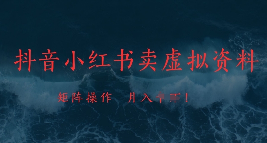 抖音小红书卖虚拟资料，市场需求一直存在，矩阵操作，月入1w+-自学网资源