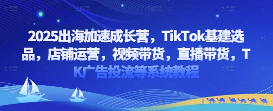 2025出海加速成长营，TikTok基建选品，店铺运营，视频带货，直播带货，TK广告投流等系统教程-AI网创