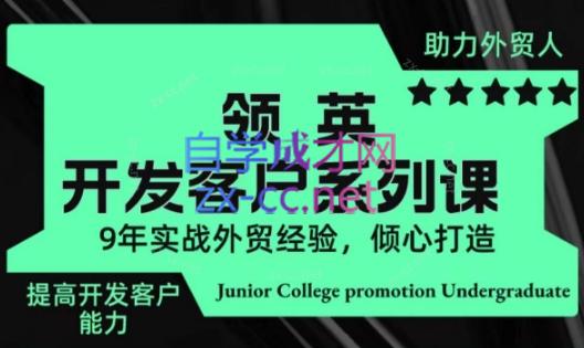城哥·领英开发客户系列课-AI网创