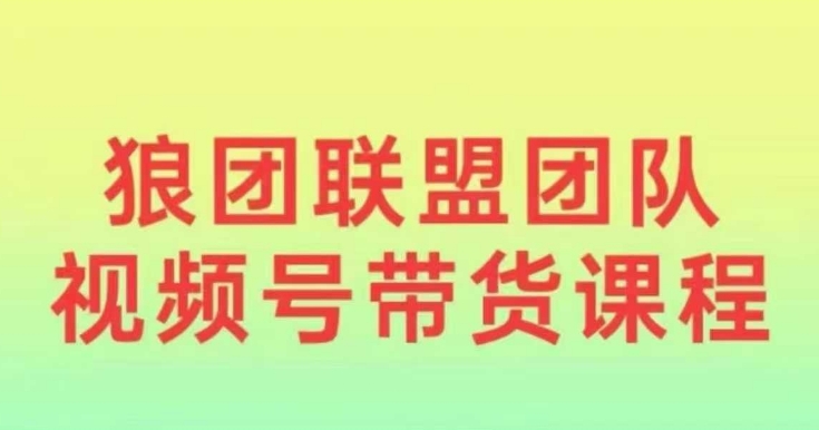 狼团联盟2024视频号带货，0基础小白快速入局视频号-AI网创