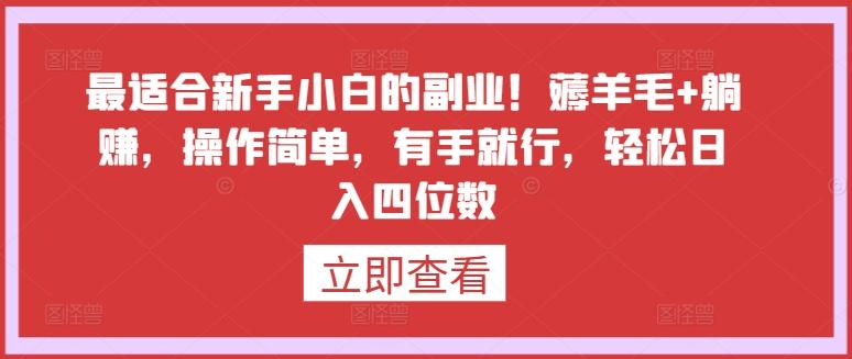 最适合新手小白的副业！薅羊毛+躺赚，操作简单，有手就行，轻松日入四位数【揭秘】-AI网创