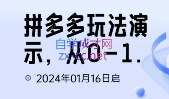 吴老师·拼多多从选品到截流到付费的玩法技巧-AI网创