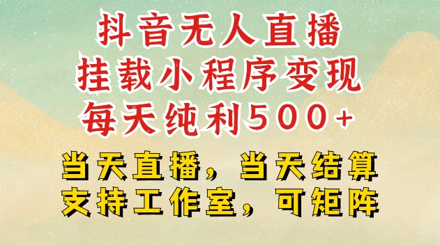 抖音无人直播挂载小程序变现每天纯利500+当天直播，当天结算支持工作室，可矩阵【揭秘】-AI网创
