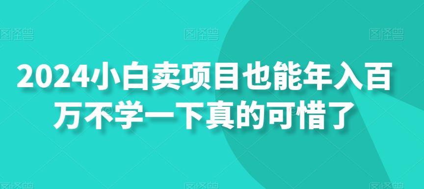 2024小白卖项目也能年入百万不学一下真的可惜了-AI网创