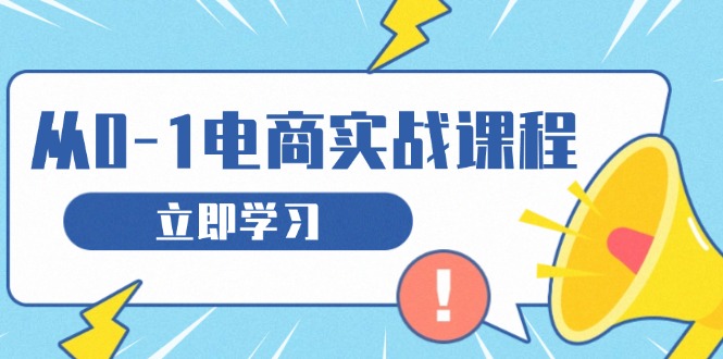 从零做电商实战课程，教你如何获取访客、选品布局，搭建基础运营团队-AI网创