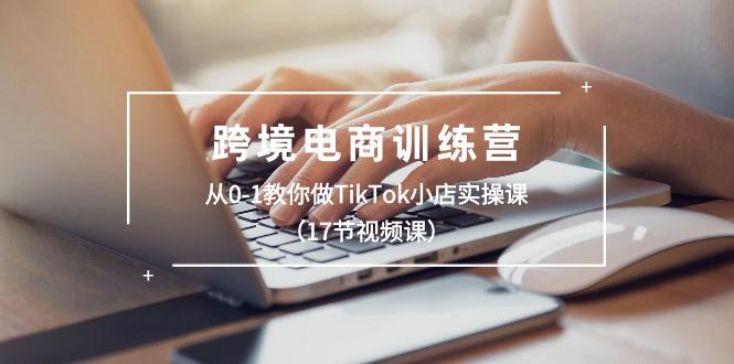 跨境电商训练营：从0-1教你做TikTok小店实操课(17节视频课-AI网创