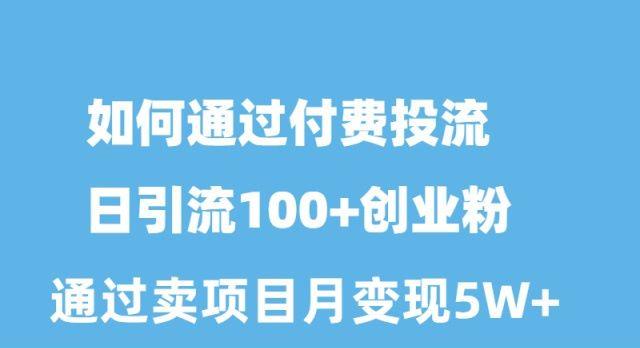 如何通过付费投流日引流100+创业粉月变现5W+-AI网创