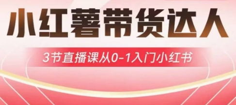 小红薯达人带货启航计划，3节直播课从0-1入门小红书-AI网创