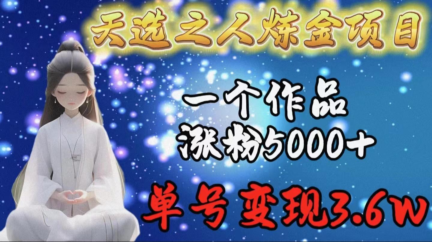 (9693期)天选之人炼金项目，一个作品涨粉5000+，单号变现3.6w-AI网创
