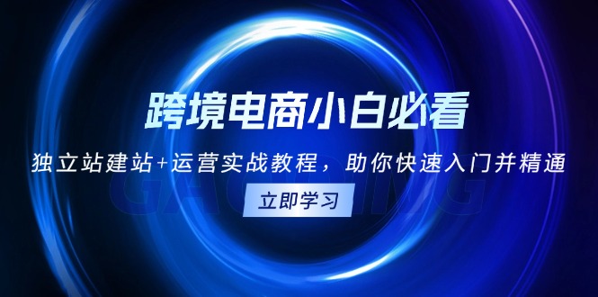跨境电商小白必看！独立站建站+运营实战教程，助你快速入门并精通-AI网创