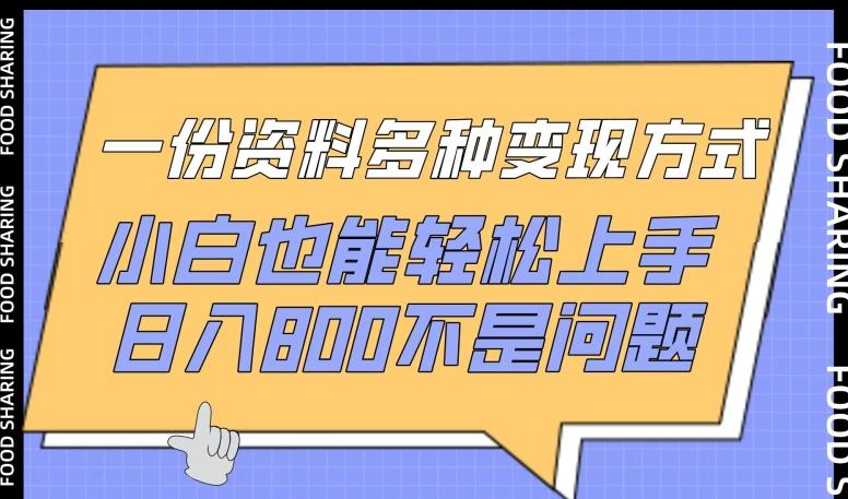 一份资料多种变现方式，小白也能轻松上手，日入800不是问题【揭秘】-AI网创