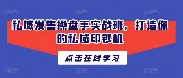 私域发售操盘手实战班，打造你的私域印钞机-AI网创