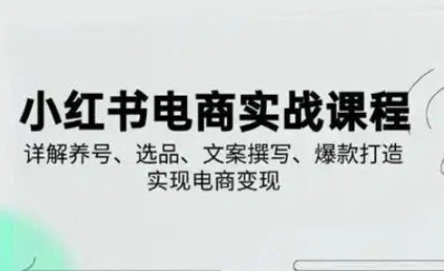 小红书从0-1实操课(2023-2025)，详解养号、选品、文案撰写、爆款打造实现电商变现-AI网创
