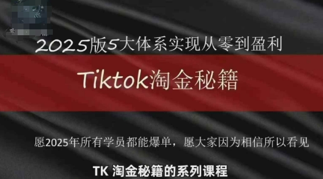 TikTok跨境2025淘金秘籍，​2025TikTok从0到盈利变现-AI网创