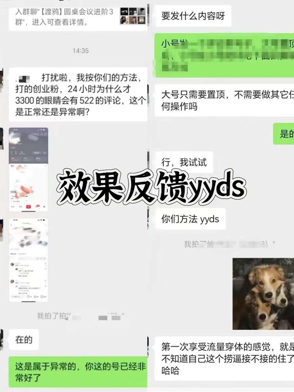 图片[3]-抖音小红书视频号全平台引流打法，全自动引流日引2000+精准客户-AI网创