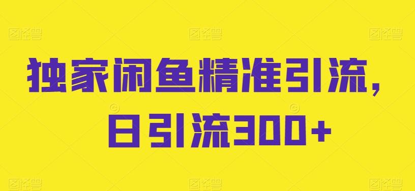独家闲鱼精准引流，日引流300+【揭秘】-AI网创