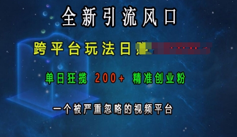 全新引流风口，跨平台玩法日入上k，单日狂揽200+精准创业粉，一个被严重忽略的视频平台-AI网创