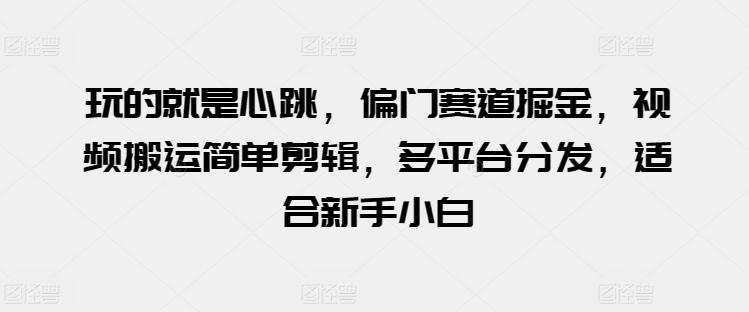 玩的就是心跳，偏门赛道掘金，视频搬运简单剪辑，多平台分发，适合新手小白【揭秘】-AI网创