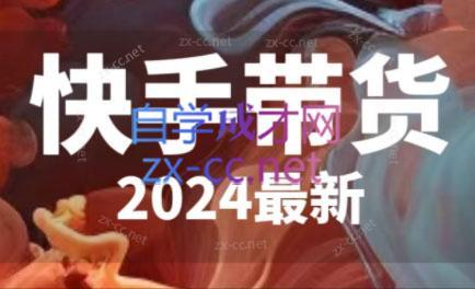 快手带货(2024最新)-AI网创