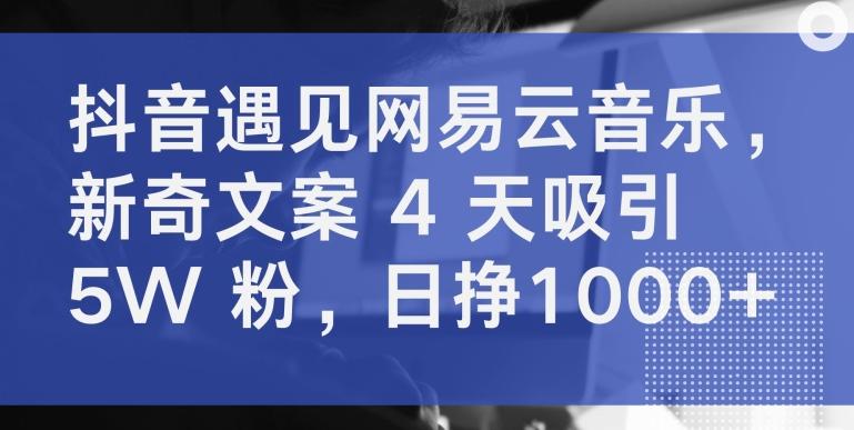 抖音遇见网易云音乐，新奇文案 4 天吸引 5W 粉，日挣1000+【揭秘】-AI网创