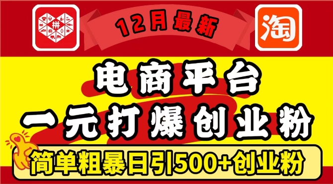 12月最新：电商平台1元打爆创业粉，简单粗暴日引500+精准创业粉，轻松月入过W【揭秘】-AI网创