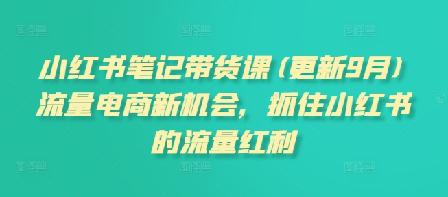 小红书笔记带货课(更新25年1月)流量电商新机会，抓住小红书的流量红利-AI网创