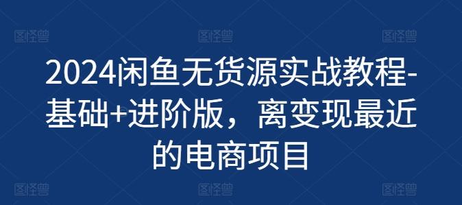2024闲鱼无货源实战教程-基础+进阶版，离变现最近的电商项目-AI网创