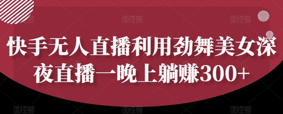 快手无人直播利用劲舞美女深夜直播一晚上躺赚300+-AI网创