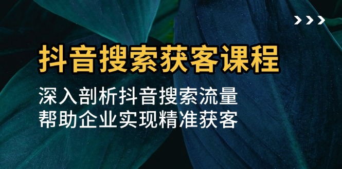 抖音搜索获客课程：深入剖析抖音搜索流量，帮助企业实现精准获客-AI网创