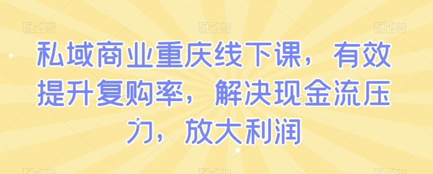 私域商业重庆线下课，有效提升复购率，解决现金流压力，放大利润-AI网创