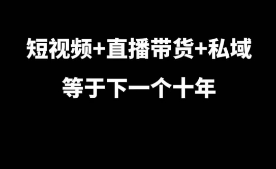 短视频+直播带货+私域等于下一个十年，大佬7年实战经验总结-AI网创