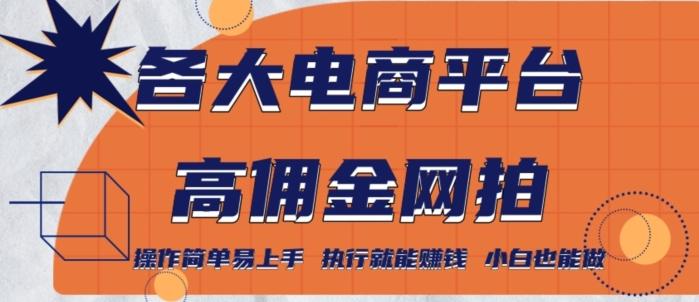 各大电商平台高佣金网拍，操作简单易上手，执行就能赚钱，小白也能做-AI网创