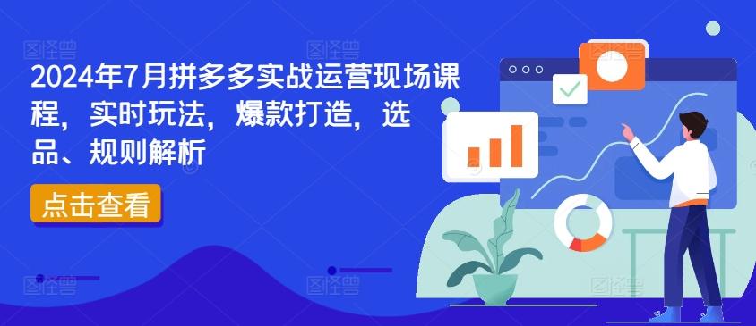 2024年7月拼多多实战运营现场课程，实时玩法，爆款打造，选品、规则解析-AI网创