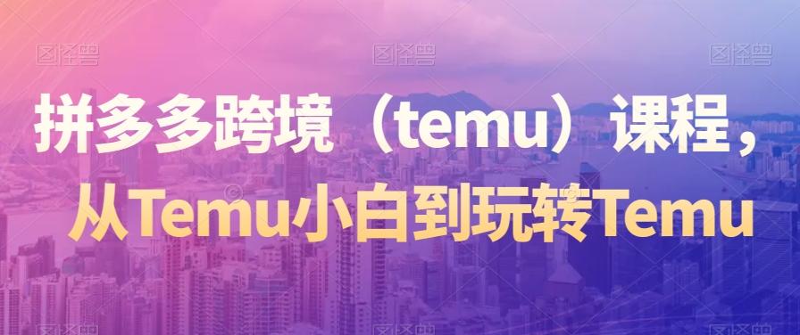 拼多多跨境（temu）课程，从Temu小白到玩转Temu-AI网创