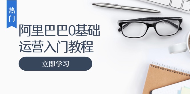 阿里巴巴运营零基础入门教程：涵盖开店、运营、推广，快速成为电商高手-AI网创