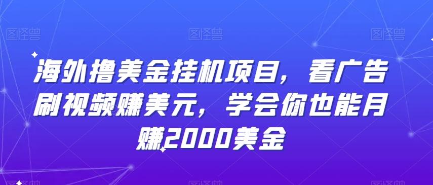 海外撸美金挂机项目，看广告刷视频赚美元，学会你也能月赚2000美金-AI网创