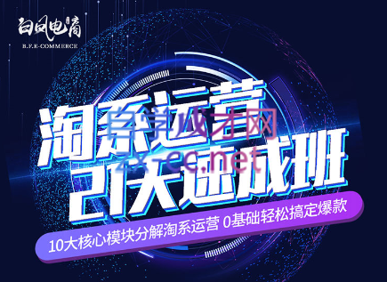 淘系运营21天速成班(更新24年6月)-AI网创