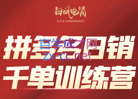 白凤电商学院·拼多多日销千单训练营(更新7月)-AI网创