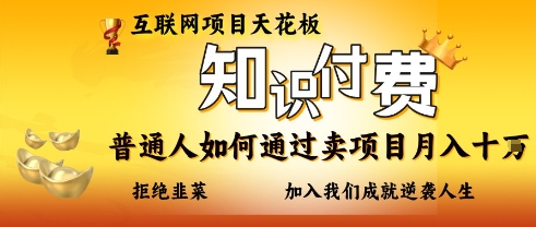 互联网项目天花板，知付付费项目，普通人如何通过卖项目月入十个，拒绝韭菜【揭秘】-AI网创