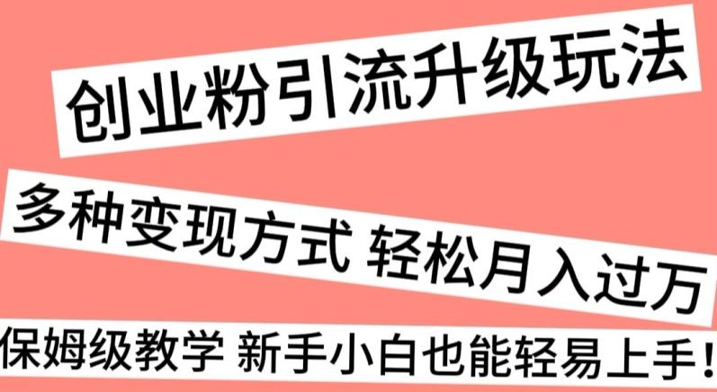 创业粉引流升级玩法，多种变现方式轻松月入过万，保姆级教学新手小白也能轻易上手！-AI网创