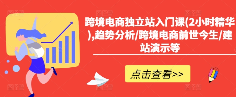 跨境电商独立站入门课(2小时精华),趋势分析/跨境电商前世今生/建站演示等-AI网创