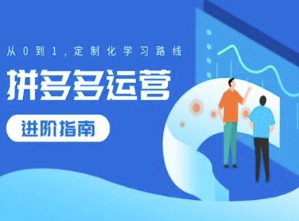 拼多多运营进阶指南，从0到1定制化学习路线-自学网资源