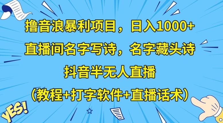 撸音浪暴利项目，日入1000+，直播间名字写诗，名字藏头诗，抖音半无人直播（教程+打字软件+直播话术）【揭秘】-AI网创