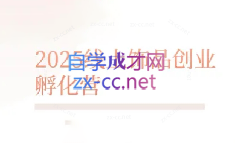 舒老师·珠宝创业实战指南-AI网创