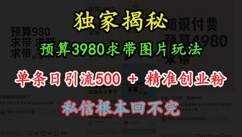 预算3980求带 图片玩法，单条日引流500+精准创业粉，私信根本回不完-AI网创