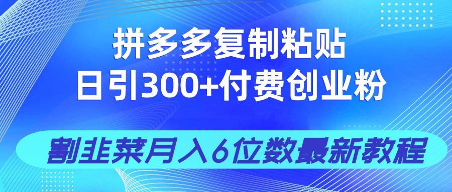 拼多多复制粘贴日引300+付费创业粉，割韭菜月入6位数最新教程！-AI网创